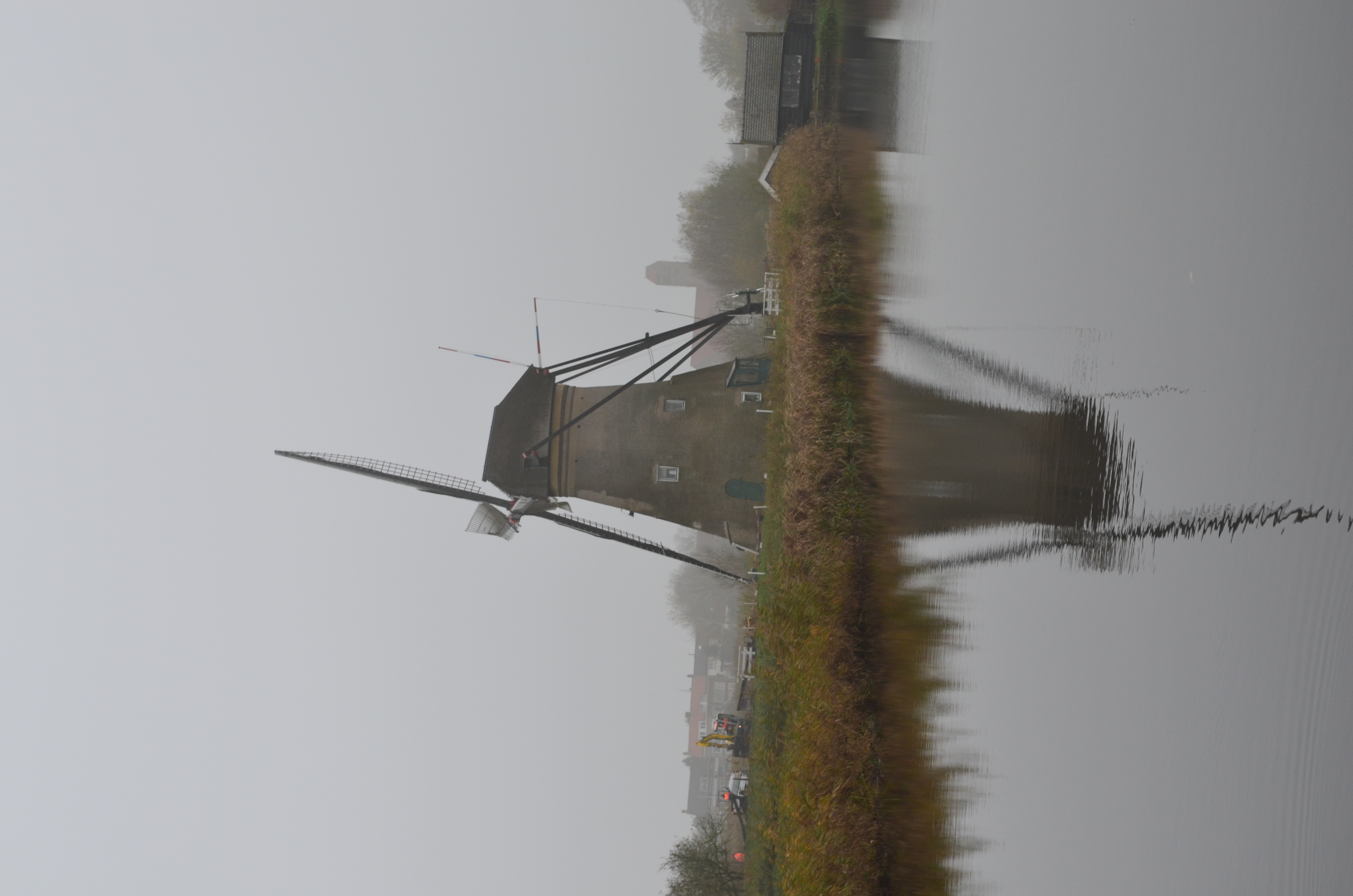 ./2017/19 - Viking Lif/12 - Kinderdijk, The Netherlands/DSC_0292.JPG